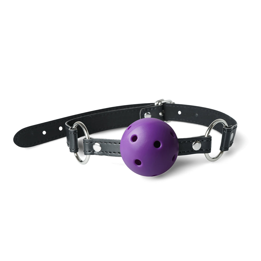 Bâillon à boule du kit BDSM Violet et Noir