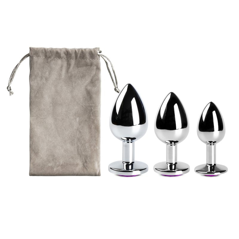 Ensemble plugs anaux métal violet et argent étanche avec sac de rangement