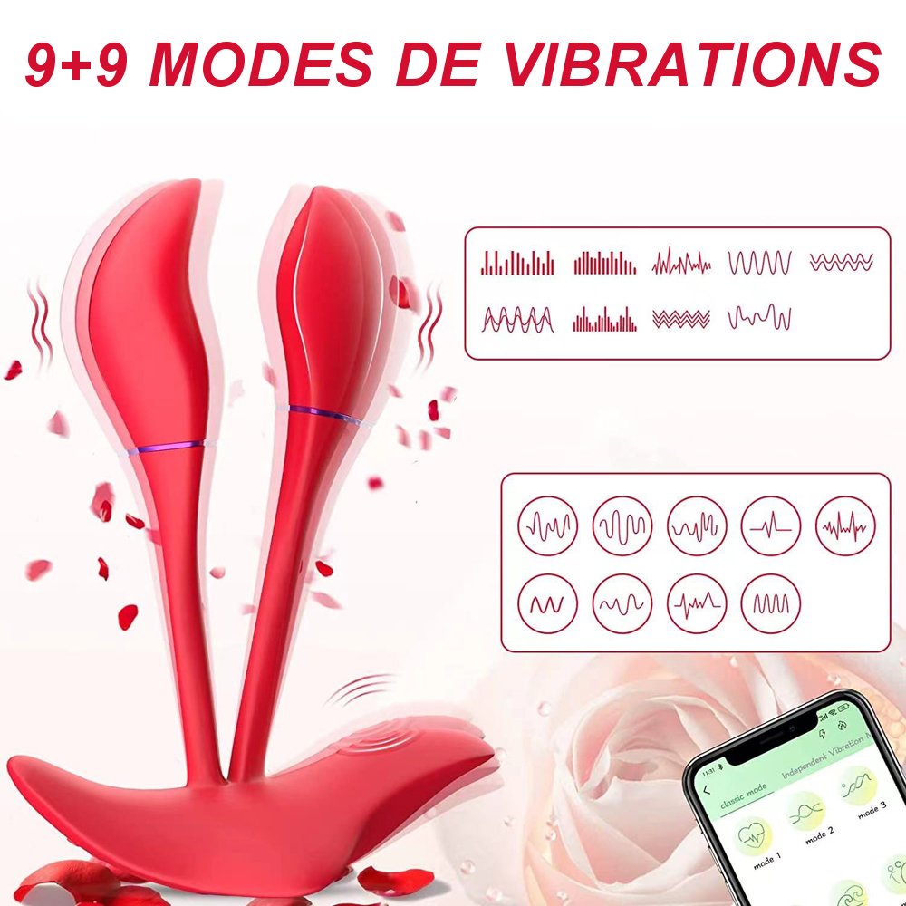 1.	Détail des embouts flexibles du vibromasseur double pointe