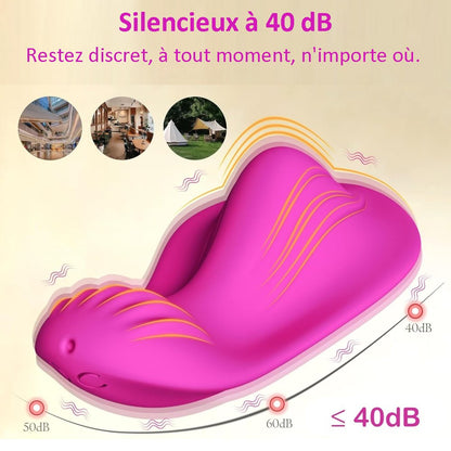Sextoy  connecté vibromasseur culotte TD1138-1