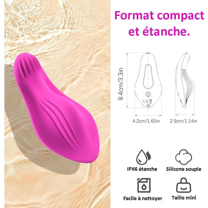 Sextoy  connecté vibromasseur culotte TD1138-1