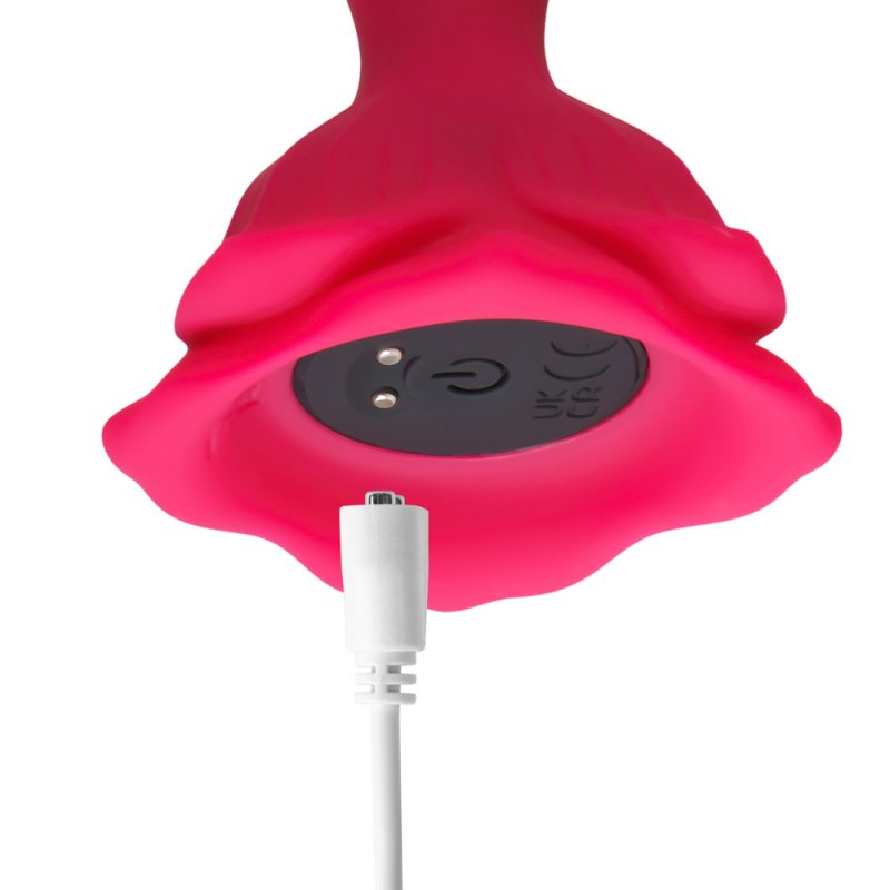 8.	Plug anal vibrant rechargeable avec câble USB inclus, illustrant son design moderne et sa conception étanche.