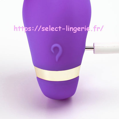 Sextoy vibromasseur couple USK-GZ02