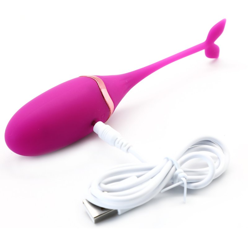 Œuf vibrant silicone violet rechargeable avec télécommande et 10 vitesses, stimulateur intime pour couple.